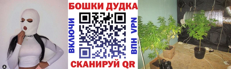 NBOMe Сегежа
