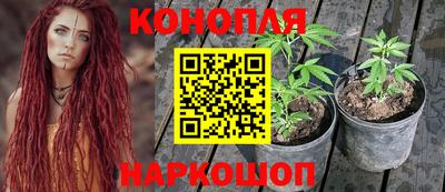 spice Кимры