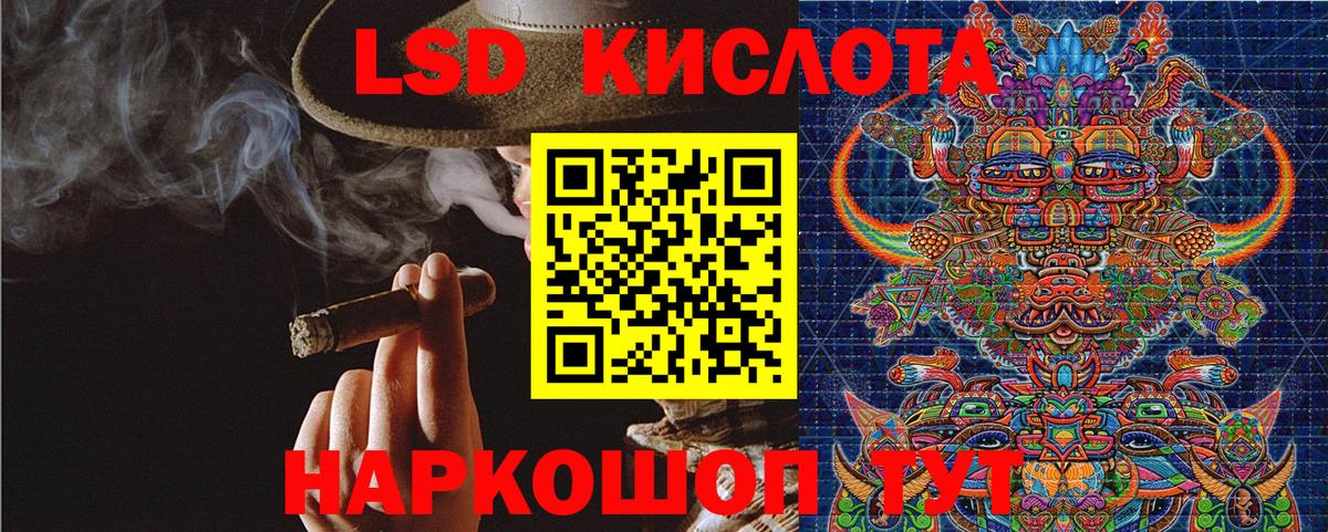 Сегежа  Наркотические марки 1500мкг  Вход с VPN  Наркотические марки  Наркотические марки 1500мкг 