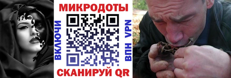 Псилоцибиновые грибы Psilocybe  Сегежа 