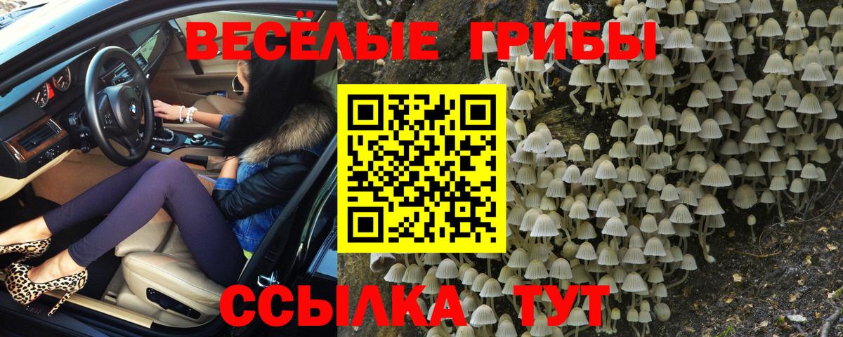 Галлюциногенные грибы Magic Shrooms  Псилоцибиновые грибы мухоморы  Вход с VPN  Сегежа 